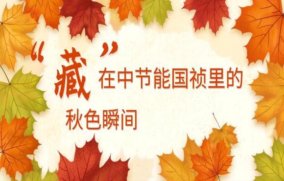 四季国祯丨“藏”在888集团里的秋色瞬间
