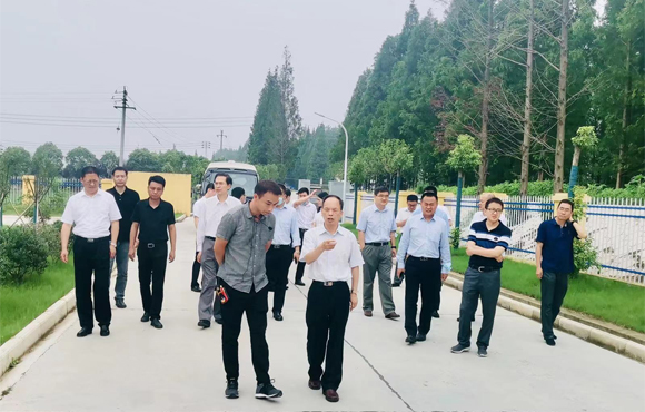 首页| 888集团电子游戏官方网站