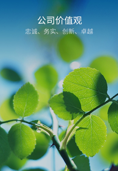 首页| 888集团电子游戏官方网站